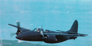 I caccia a elica “felini” della Grumman 3 03 F7F Tigercat 1